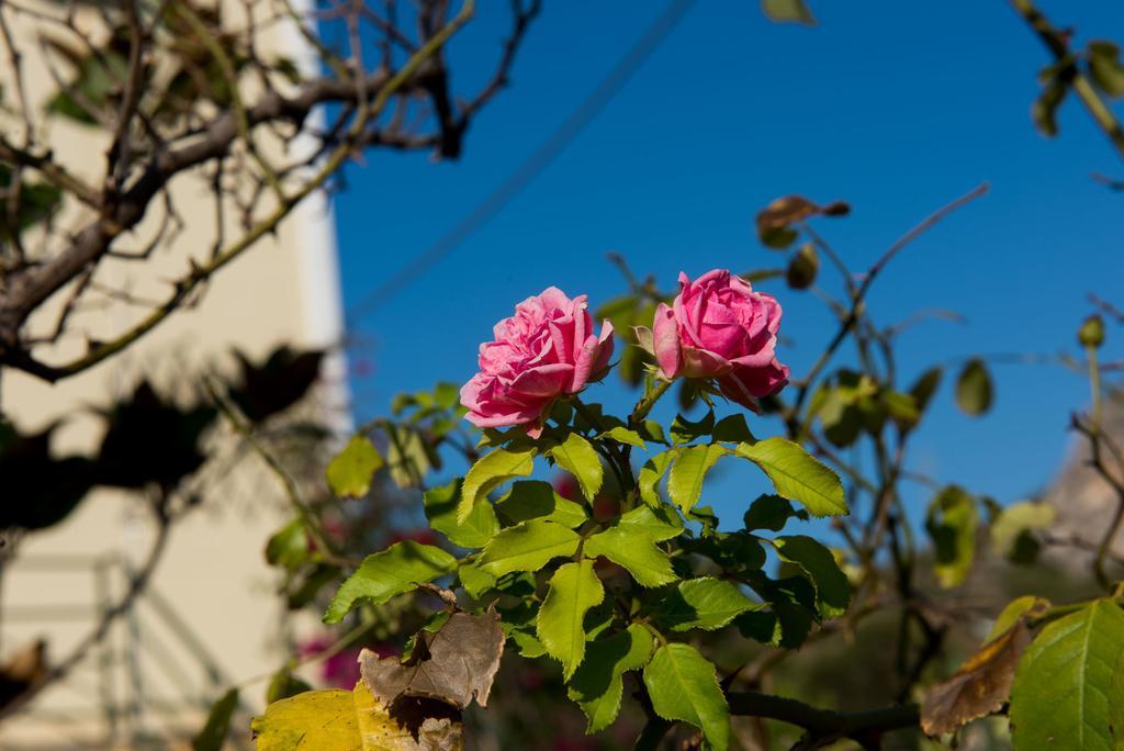 Maria'S House Διαμέρισμα Κατελειός Εξωτερικό φωτογραφία